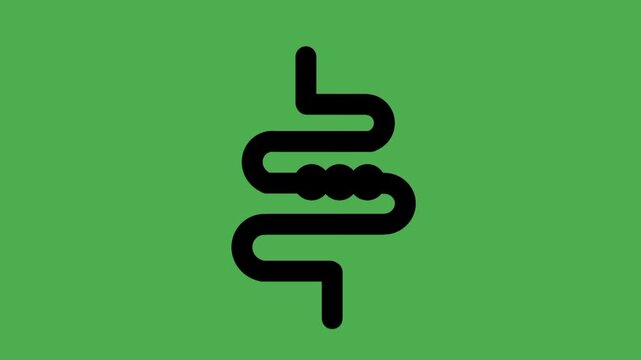 Black silhouette gut constipation illustration showing blocked bowel concept for medical and healthcare education.