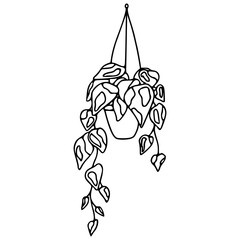 minimalist hanging plant in pot trailing vines line art illustration © Zen20