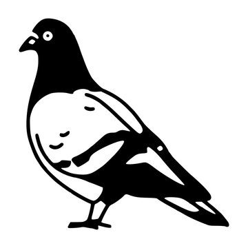black and white classic feral pigeon clip art design