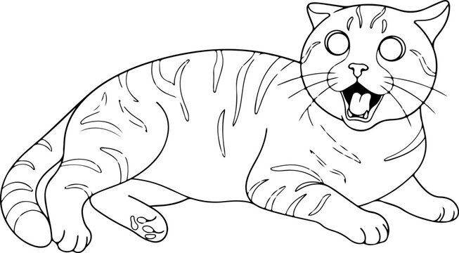 Outline illustration of a cat with a shocked facial expression
