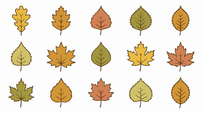 Collection of colorful autumn leaves in various shapes and colors