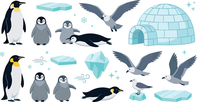 Arctic polar wildlife vector set with cartoon emperor penguin, baby chicks, seagulls, igloo house, icebergs, and winter elements isolated on white background.