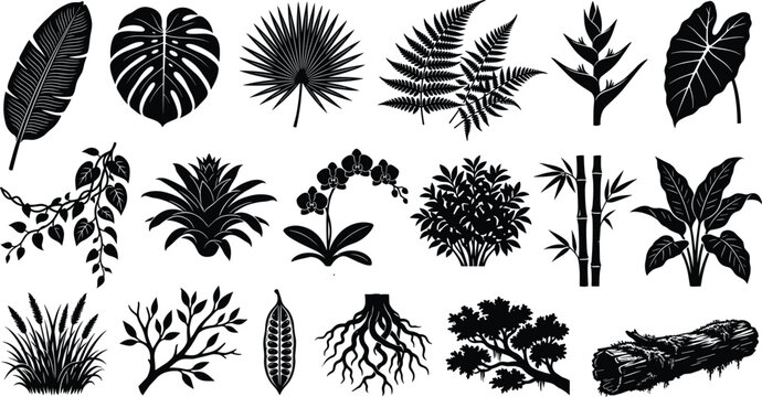Tropical Plants and Jungle Botanical Black Silhouette Icon Set with Monstera, Palm Fronds, Ferns, and Vines