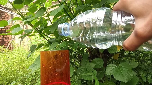 A hand pours water from a bottle into a brown glass outdoors, near a plant that provides shelter from the sunlight.
