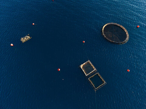 Aerial view of fish farming cages floating in the deep blue sea near Porto Palermo Beach, with red buoys marking the area in Himare, Vlore County, Albania.