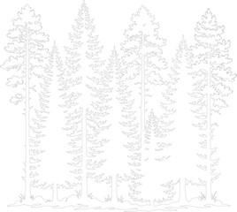 Obraz premium Minimalist pine forest line art vector, evergreen tree silhouette outline, coniferous woodland landscape illustration for nature branding