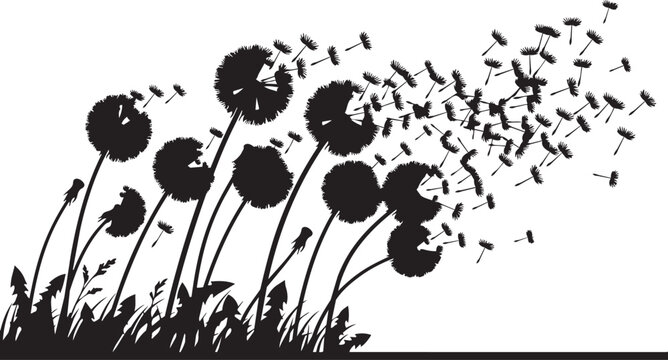 Black dandelion flowers, blowing seeds, wind, floral silhouettes, vector icons