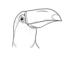 toucan digital drawing illustration isolated © mbahran