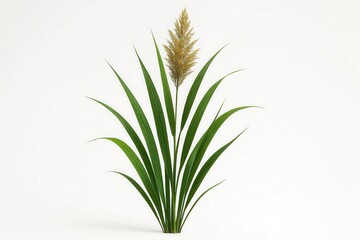 Fototapeta premium Exploring reed grass in wetland ecosystems a close examination of nature's botanical features