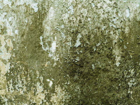 A close-up shot captures the rough, weathered texture of an old concrete wall. The surface is uneven, dark patches, mineral stains, and reflecting natural aging