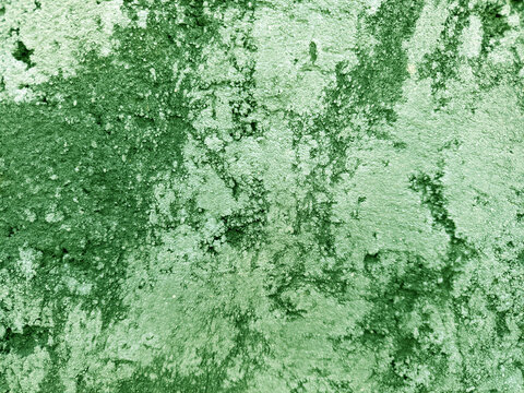A close-up shot captures the rough, weathered texture of an old concrete wall. The surface is uneven, dark patches, mineral stains, and reflecting natural aging