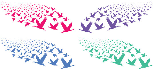 Flying birds vector illustration, colorful flock of geese in flight, abstract avian migration pattern, dynamic animal silhouette design for nature and freedom concepts © Shanza