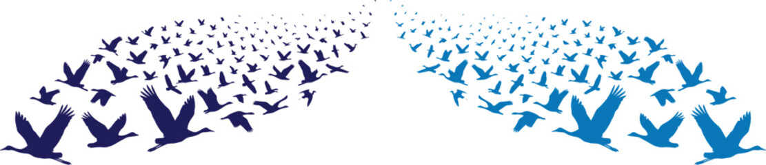 Abstract flock of birds, flying geese vector illustration. Dynamic blue and dark blue bird silhouettes, freedom and migration concept, ideal for corporate branding or environmental designs. © Shanza