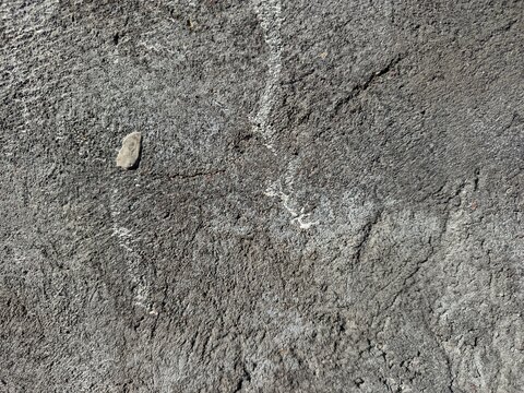 A close-up shot captures the rough, weathered texture of an old concrete wall. The surface is uneven, dark patches, mineral stains, and reflecting natural aging