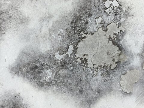 A close-up shot captures the rough, weathered texture of an old concrete wall. The surface is uneven, dark patches, mineral stains, and reflecting natural aging