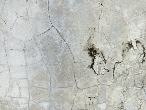 A close-up shot captures the rough, weathered texture of an old concrete wall. The surface is uneven, dark patches, mineral stains, and reflecting natural aging