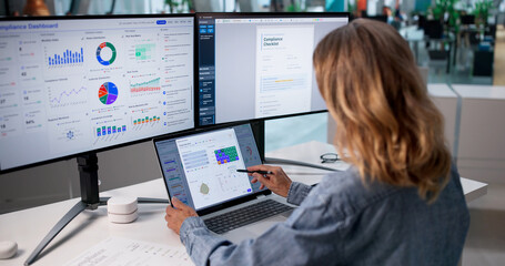 Fototapeta na wymiar Mature Woman Uses Laptop To Monitor Corporate Compliance
