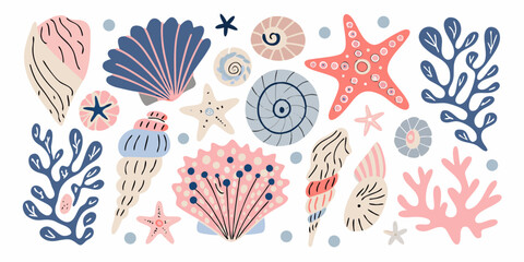 Seashells Starfish And Coral A Decorative Vector Illustration On White © Sukla