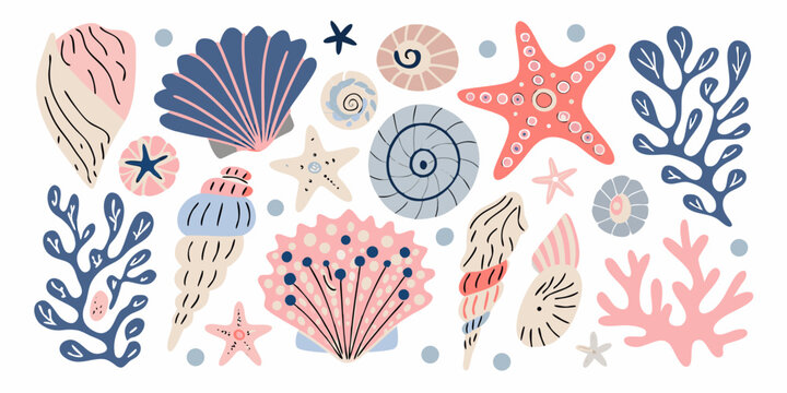 Seashells Starfish And Coral A Decorative Vector Illustration On White