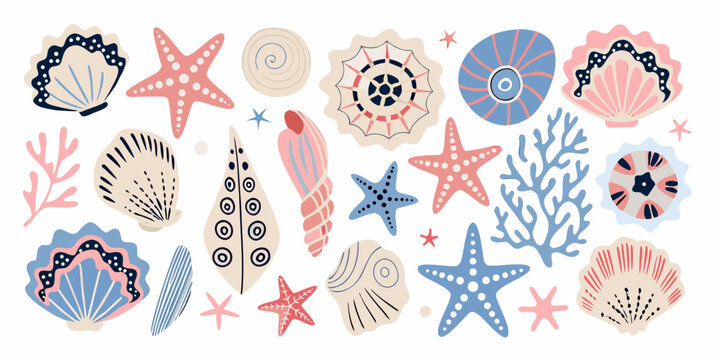 Seashells And Starfish A Decorative Vector Illustration On White Background