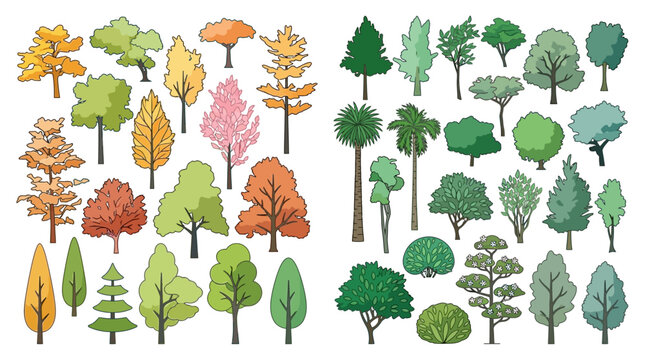 Ensemble d'illustrations vectorielles d'arbres vari&eacute;s avec des feuillages color&eacute;s, des formes diversifi&eacute;es et des textures dessin&eacute;es &agrave; la main pour le design paysager et l'architecture