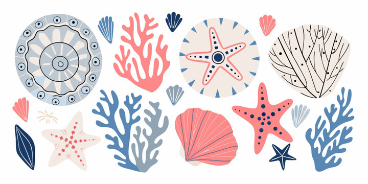 Seashells Coral And Starfish Vector Illustration With A White Background