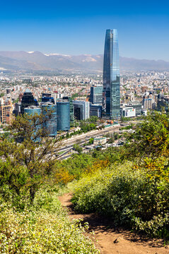 Santiago, Chile - October 12, 2025: View of the Gran Torre Costanera skyscraper and city skyline from a hiking trail on Cerro San Cristobal.