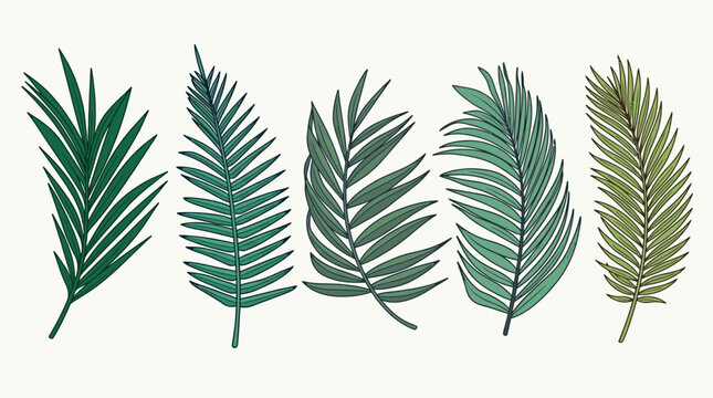 Conjunto de ilustra&ccedil;&otilde;es vetoriais de folhas de palmeira tropicais desenhadas &agrave; m&atilde;o em diferentes tons de verde, isoladas em um fundo claro para design bot&acirc;nico e decora&ccedil;&atilde;o.