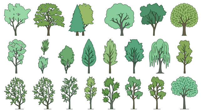 Conjunto de ilustra&ccedil;&otilde;es vetoriais de &aacute;rvores diversas com diferentes formas de copas e folhagens, apresentadas em estilo de desenho plano com contornos para design gr&aacute;fico e paisagismo.