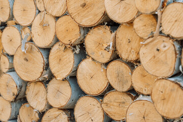 Stacked cut firewood logs with round wooden texture background. © Anastassiya 