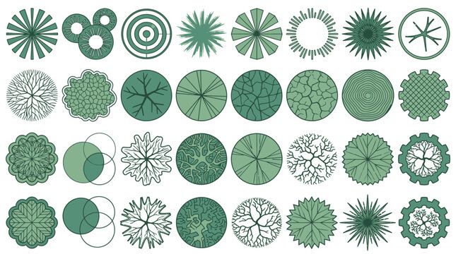 Conjunto de iconos vectoriales de &aacute;rboles vistos desde arriba para planos arquitect&oacute;nicos, paisajismo y dise&ntilde;o de jardines con una variedad de formas y texturas de follaje en tonos verdes.