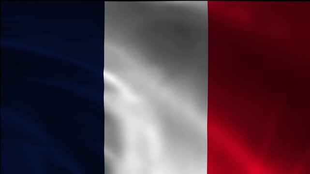 Standard French Guiana Footage Movement Flag Loopable Flow Symbol Jack Sovereignty Freedom Blowing Silk Background Flutter Video