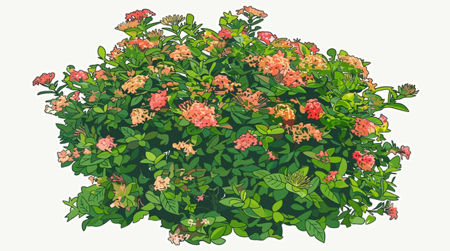 Un buisson fleuri aux couleurs vives, isol&eacute; sur fond blanc, pr&ecirc;t &agrave; &ecirc;tre utilis&eacute; dans des conceptions graphiques.