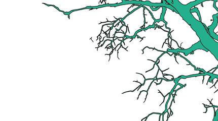 Obraz premium Un ramo stilizzato di colore verde acqua su uno sfondo bianco, con dettagli intricati e un aspetto grafico.