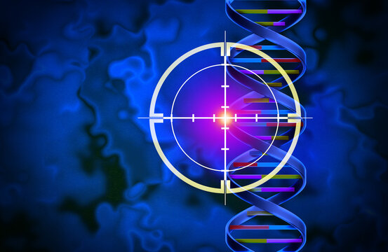 Precision Oncology and Personalized Gene Therapies tailored genetic treatment to an individual DNA to target the underlying cause of disease more precisely as a doctor or geneticist and oncologist hol