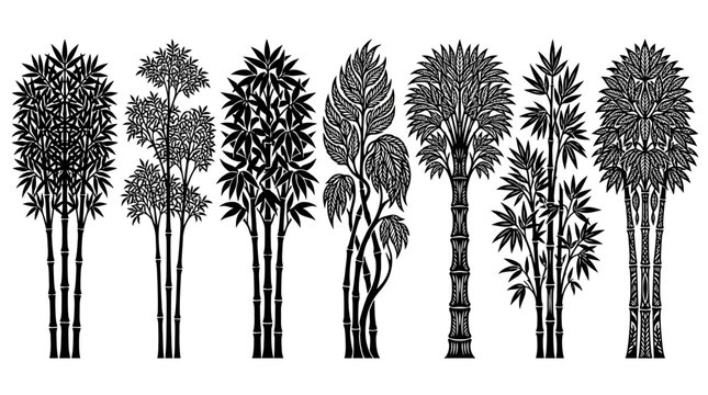 Conjunto de siluetas detalladas de &aacute;rboles tropicales y plantas de bamb&uacute; en estilo grabado blanco y negro para dise&ntilde;o gr&aacute;fico, ilustraci&oacute;n bot&aacute;nica y elementos decorativos aislados.