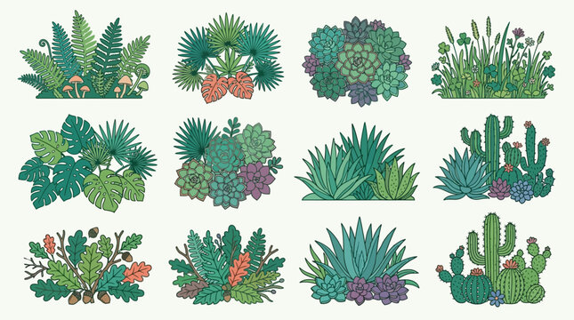 Illustrazioni vettoriali di diverse piante verdi e cactus, disposte in composizioni decorative su sfondo bianco.