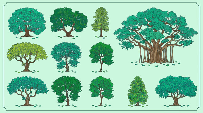 Eine Sammlung verschiedener handgezeichneter Baum-Illustrationen mit unterschiedlichen Blattformen und Wuchsformen auf einem hellgr&uuml;nen Hintergrund f&uuml;r Designprojekte.