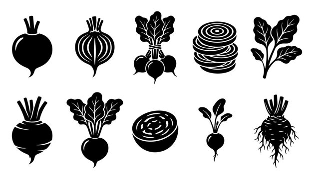 Beetroot vector silhouettes set with fresh organic beets root and leaves icons