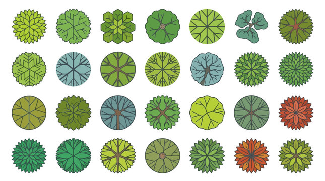 Set di icone vettoriali con alberi visti dall'alto, collezione di piante stilizzate per architettura paesaggistica, design urbano e planimetrie di giardini su sfondo bianco isolato.