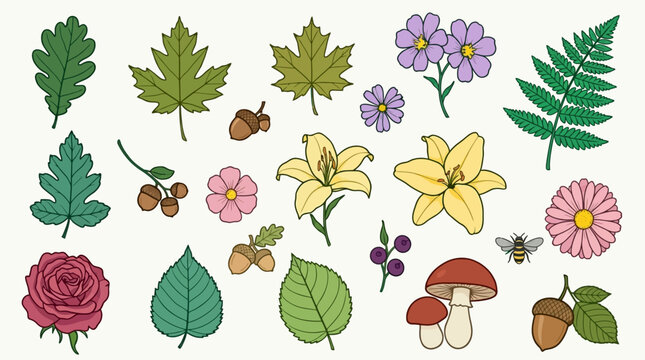 Zestaw kolorowych ilustracji wektorowych przedstawiających r&oacute;żnorodne liście, kwiaty, żołędzie, grzyby oraz małą pszczołę w stylu rysunkowym na jasnym tle.