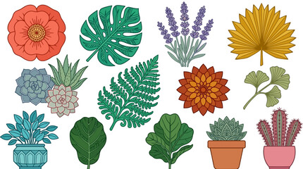Zestaw kolorowych ilustracji roślinnych zawierający egzotyczne liście monstery, kwiaty, sukulenty w doniczkach, paprocie oraz lawendę na białym tle w stylu grafiki wektorowej © Avrilin