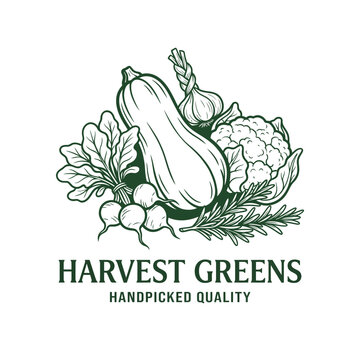 A beautifully illustrated logo design showcasing an array of fresh vegetables, conveying a theme of quality and sustainability in organic gardening and dining.