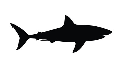 Obraz premium Great White Shark Silhouette Against A White Background Silhouette