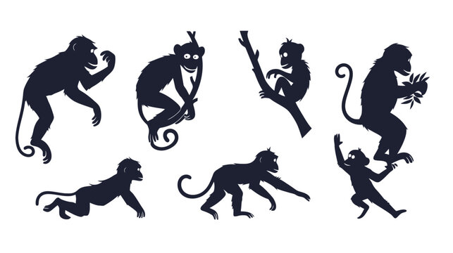 Monkey silhouette vector set, wild primate animal silhouettes in various poses, jungle monkey collection for nature design and wildlife graphics
