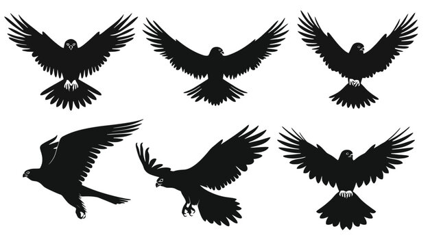 Eagle silhouette vector set, flying hawk and falcon bird icons, black predatory raptor silhouettes for logo design and outdoor branding