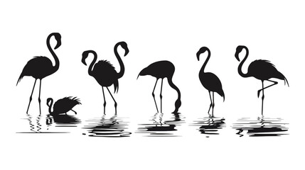 Obraz premium Black silhouettes of flamingos standing in shallow water with reflections, depicting a flock of elegant birds.