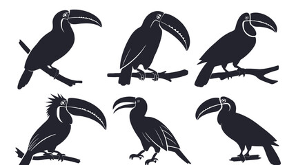 Obraz premium Six black toucan silhouettes perched on branches, showcasing various tropical bird poses and profiles.