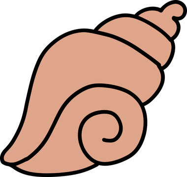 Minimalist Conch Shell Illustration