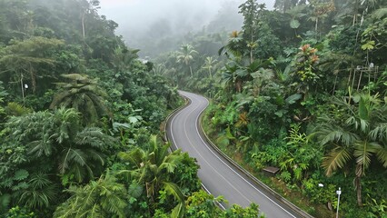 Fototapeta premium High-Angle Drone Shot of a Winding Asphalt Road Snaking Through a Dense Tropical Rainforest